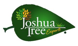 Joshua Tree Experts Franchise