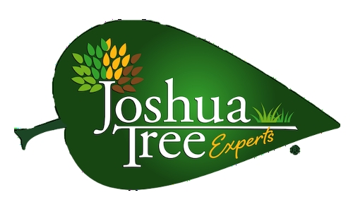Joshua Tree Experts Adds New Locations in Indiana